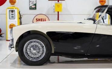 Austin-Healey-100-4-BN2-1956-White-Black-0-13