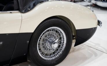 Austin-Healey-100-4-BN2-1956-White-Black-0-20