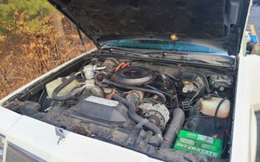 Buick-Regal-diesel-1986-white-321868-11