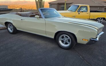 Buick-Skylark-convertible-1972-brown-80467