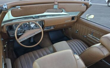 Buick-Skylark-convertible-1972-brown-80467-4