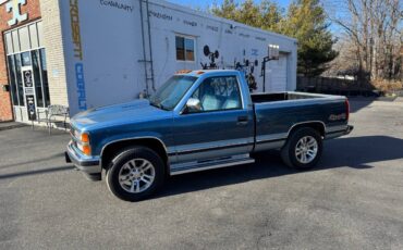 Chevrolet-1500-silverado-4x4-1991-blue-79662-6