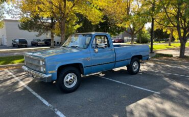 Chevrolet-2500-1982-blue-101594