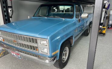 Chevrolet-2500-1982-blue-101594-9