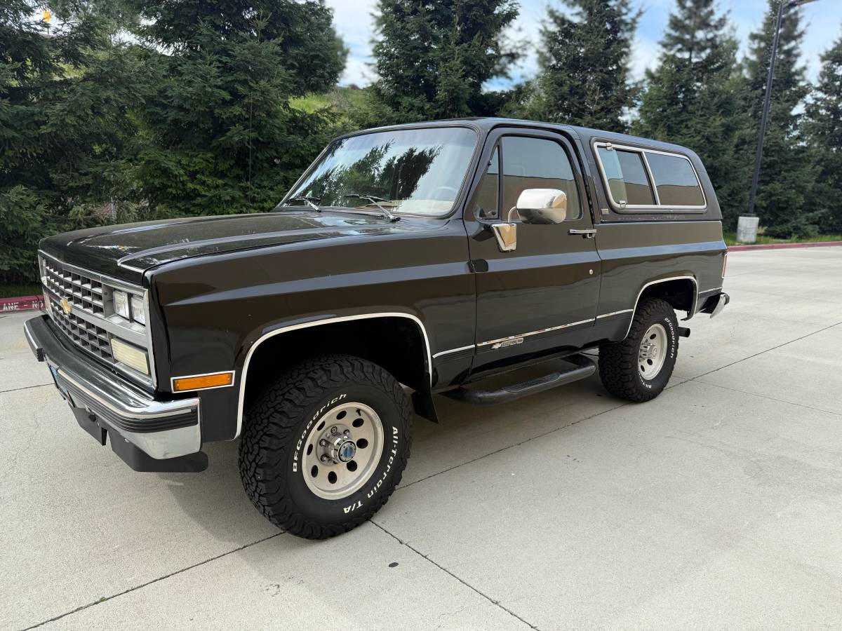 Chevrolet-Blazer-1990-313821-1