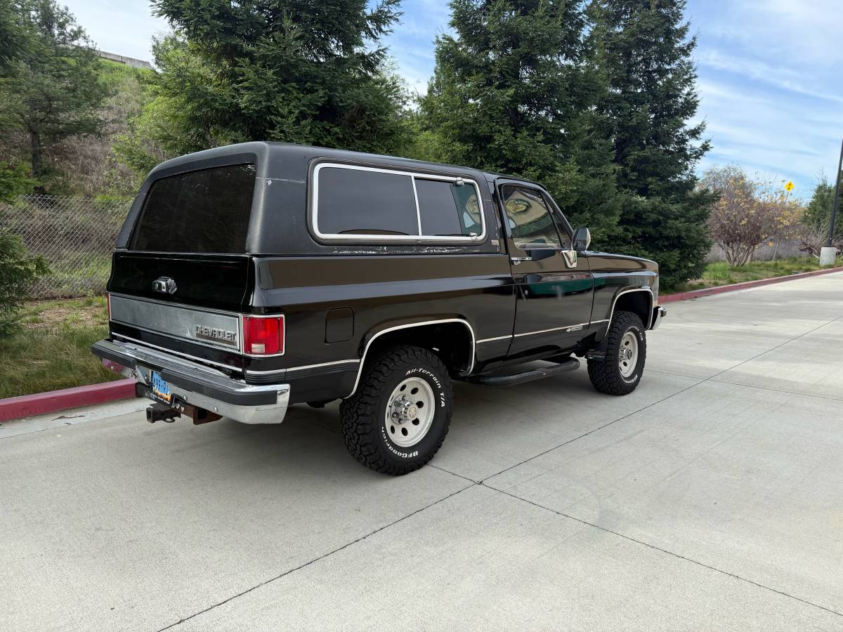 Chevrolet-Blazer-1990-313821-11