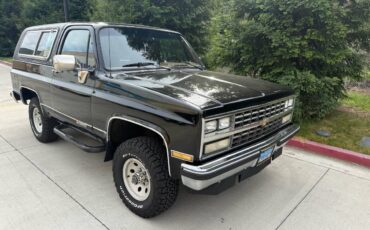 Chevrolet-Blazer-1990-313821-13