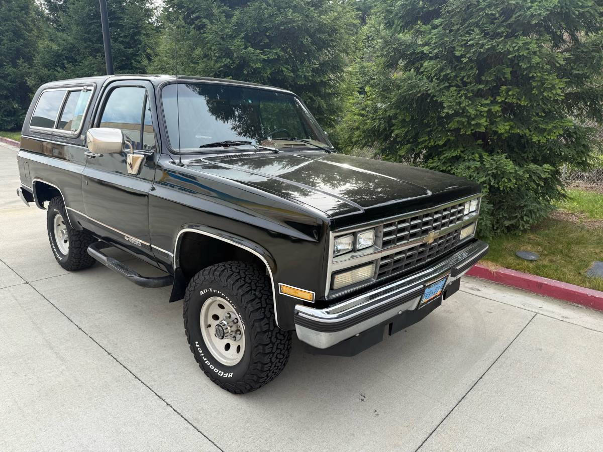 Chevrolet-Blazer-1990-313821-13