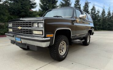 Chevrolet-Blazer-1990-313821-2