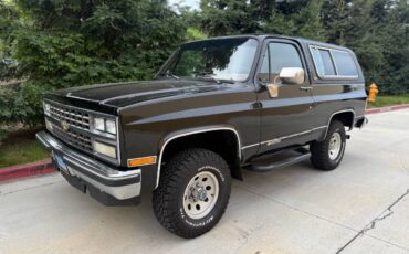 Chevrolet-Blazer-1990-313821