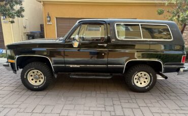 Chevrolet-Blazer-1990-313821-4