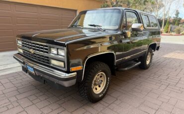 Chevrolet-Blazer-1990-313821-5