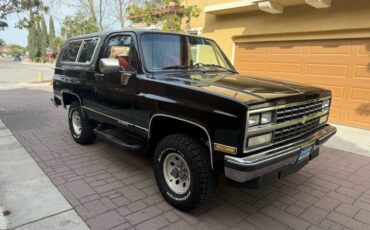 Chevrolet-Blazer-1990-313821-6