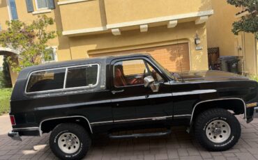 Chevrolet-Blazer-1990-313821-7