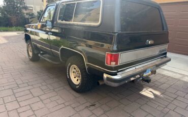 Chevrolet-Blazer-1990-313821-8