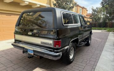 Chevrolet-Blazer-1990-313821-9