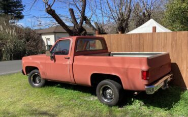 Chevrolet-C10-1977-56327-1