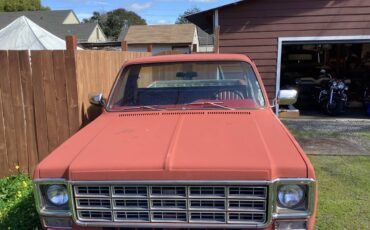 Chevrolet-C10-1977-56327-2