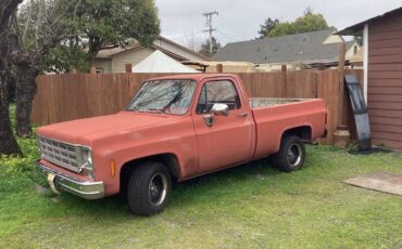 Chevrolet-C10-1977-56327