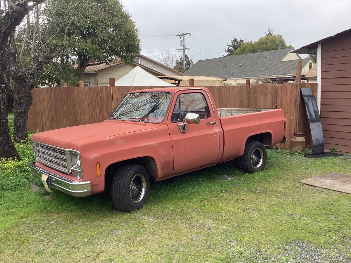 Chevrolet-C10-1977-56327