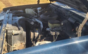 Chevrolet-C10-lwb-pickup-scottsdale-1986-blue-186683-13