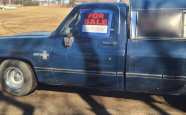 Chevrolet-C10-lwb-pickup-scottsdale-1986-blue-186683-4