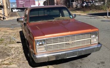 Chevrolet-C10-pickup-1984-64374-2