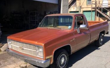 Chevrolet-C10-pickup-1984-64374