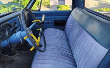 Chevrolet-C10-truck-1967-blue-123824-1