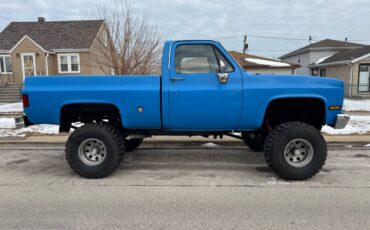 Chevrolet-C10-truck-1988-blue-225308-4