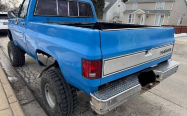 Chevrolet-C10-truck-1988-blue-225308-6