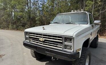 Chevrolet-CK-Pickup-1500-1985-White-249646-1