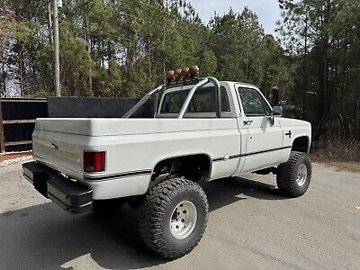 Chevrolet-CK-Pickup-1500-1985-White-249646-5