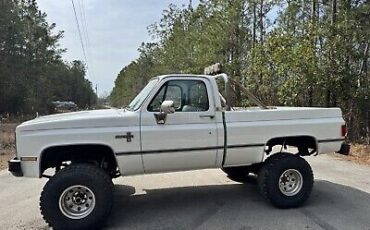 Chevrolet-CK-Pickup-1500-1985-White-249646-8