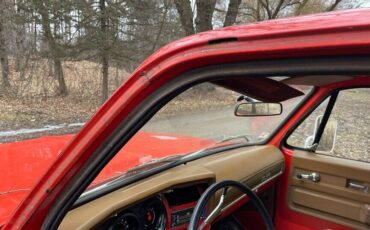 Chevrolet-CK-Pickup-2500-Pickup-1974-Red-Tan-22531-7