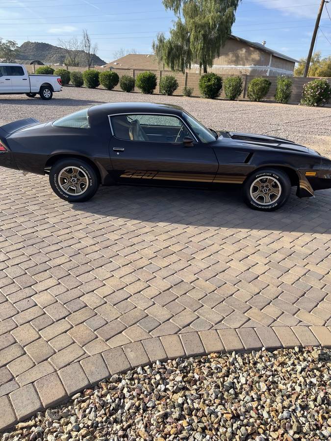 Chevrolet-Camaro-z28-1980-brown-49246