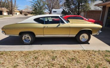 Chevrolet-Chevelle-malibu-1969-4184