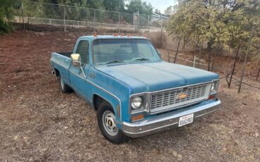 Chevrolet-Cheyenne-1500-1973-blue-144841-1