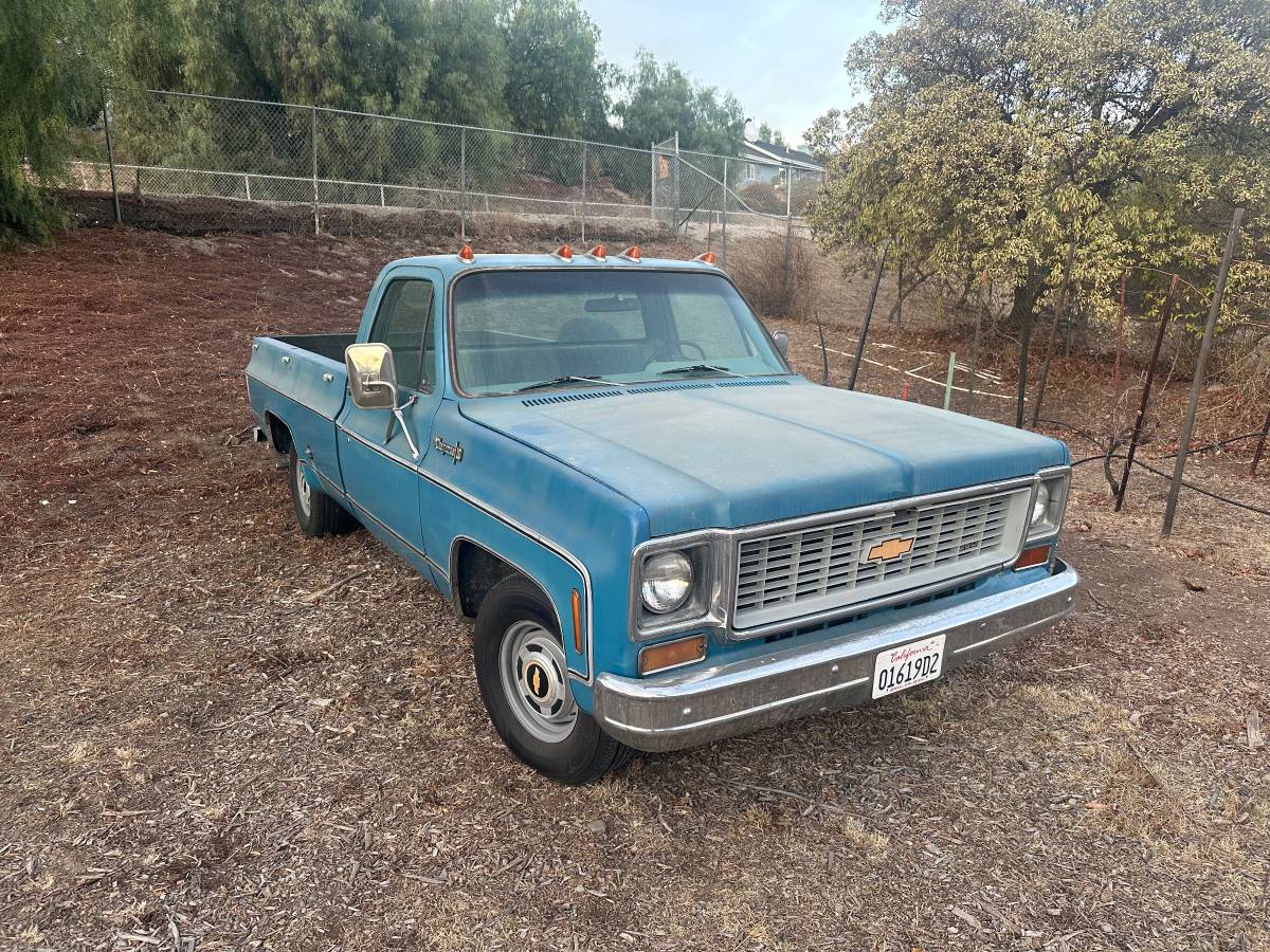 Chevrolet-Cheyenne-1500-1973-blue-144841-1