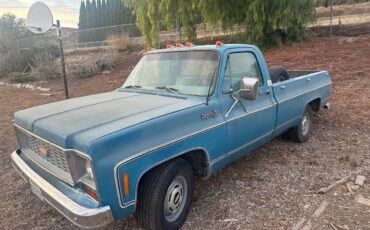 Chevrolet-Cheyenne-1500-1973-blue-144841-2