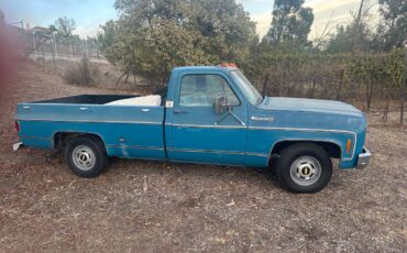 Chevrolet-Cheyenne-1500-1973-blue-144841