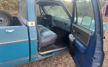 Chevrolet-Cheyenne-1500-1973-blue-144841-5