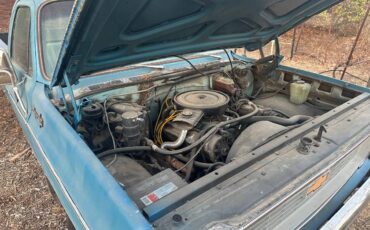 Chevrolet-Cheyenne-1500-1973-blue-144841-6