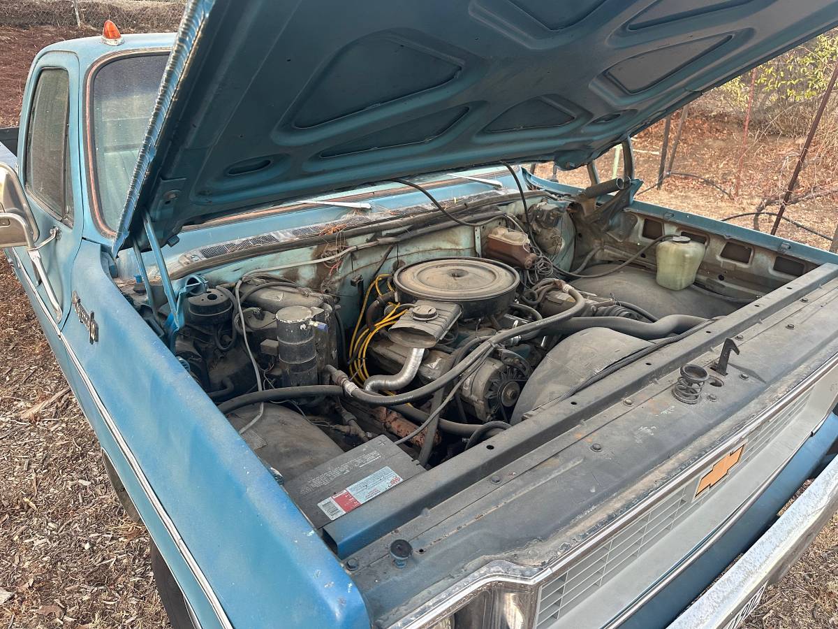 Chevrolet-Cheyenne-1500-1973-blue-144841-6