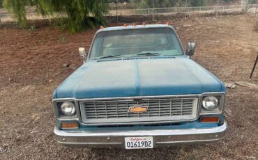 Chevrolet-Cheyenne-1500-1973-blue-144841-8