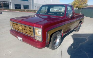 Chevrolet-Cheyenne-1979-custom-178815-1