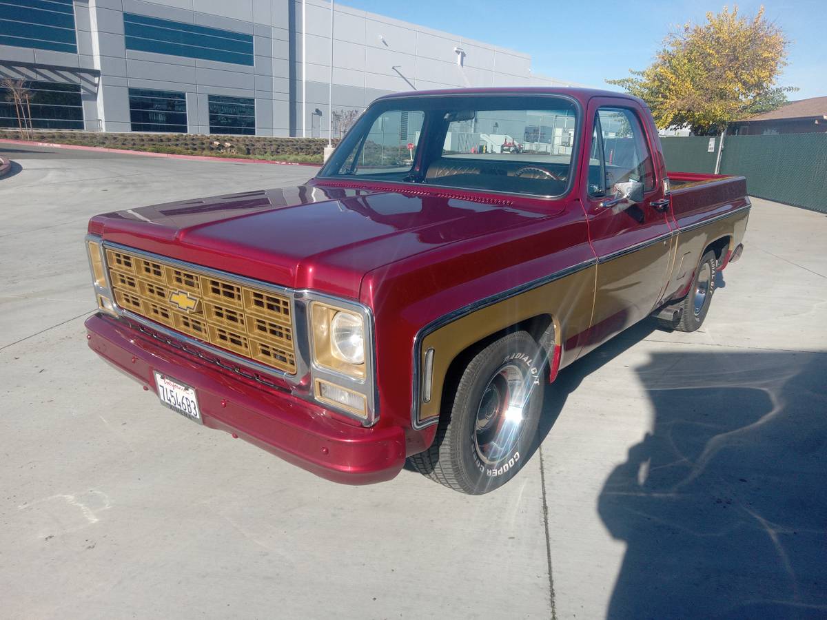 Chevrolet-Cheyenne-1979-custom-178815-1