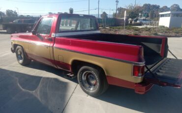 Chevrolet-Cheyenne-1979-custom-178815-2