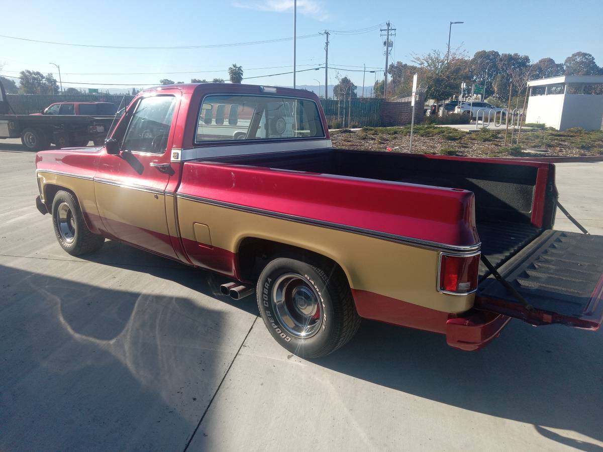 Chevrolet-Cheyenne-1979-custom-178815-2