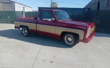 Chevrolet-Cheyenne-1979-custom-178815